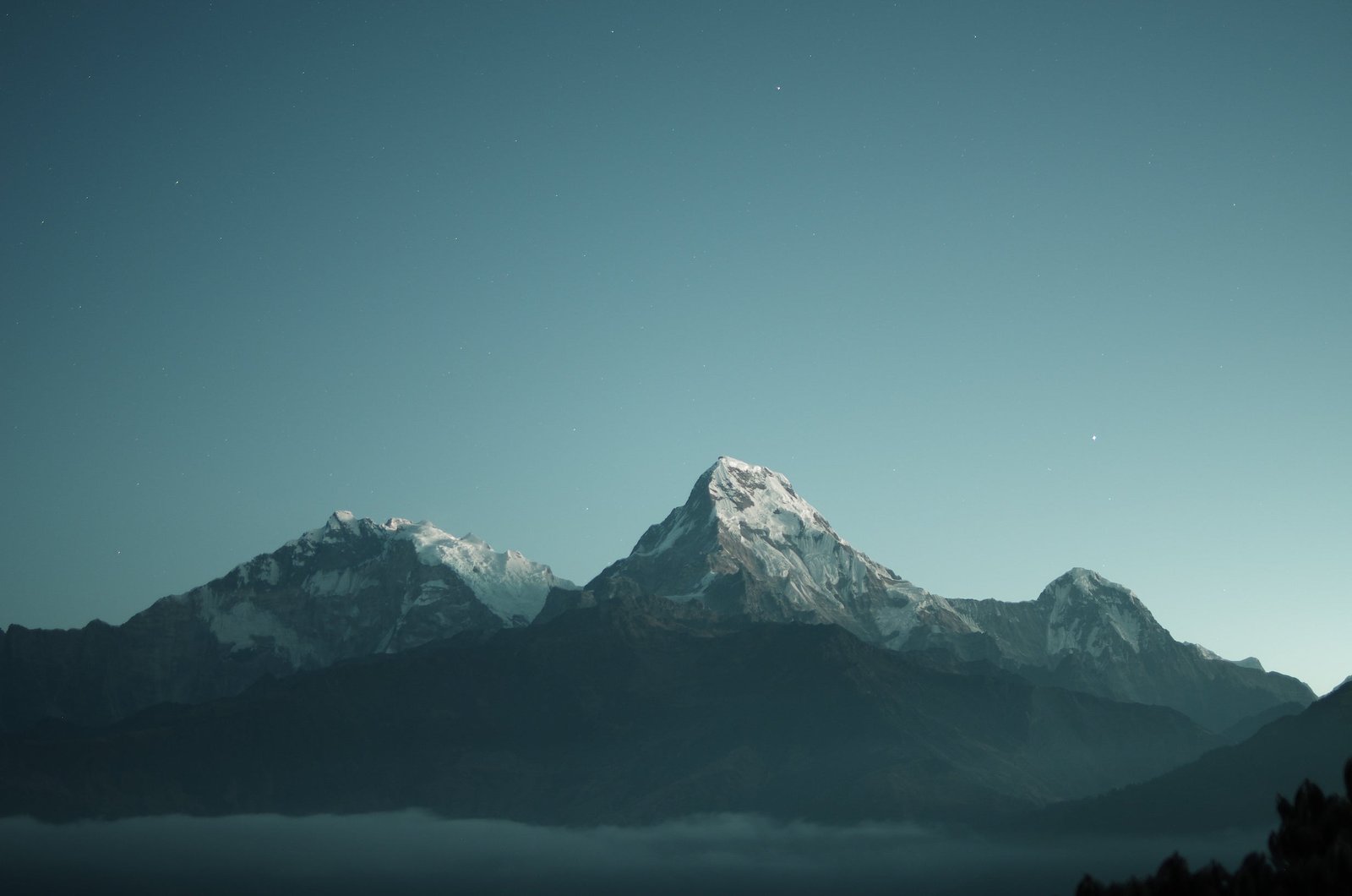 Header Default