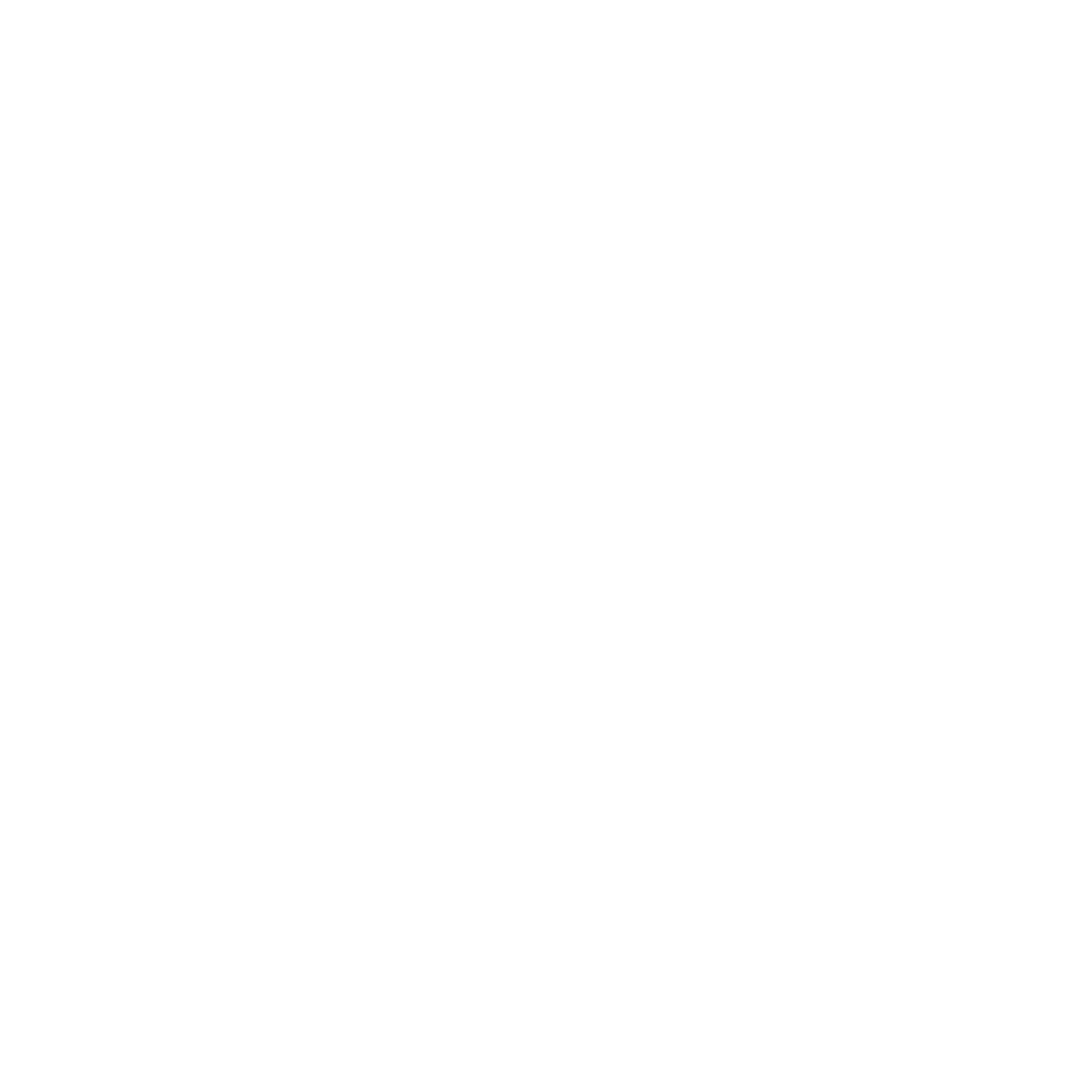 Reframed LOGO WHITE NEW Florida Junk Pros Logo